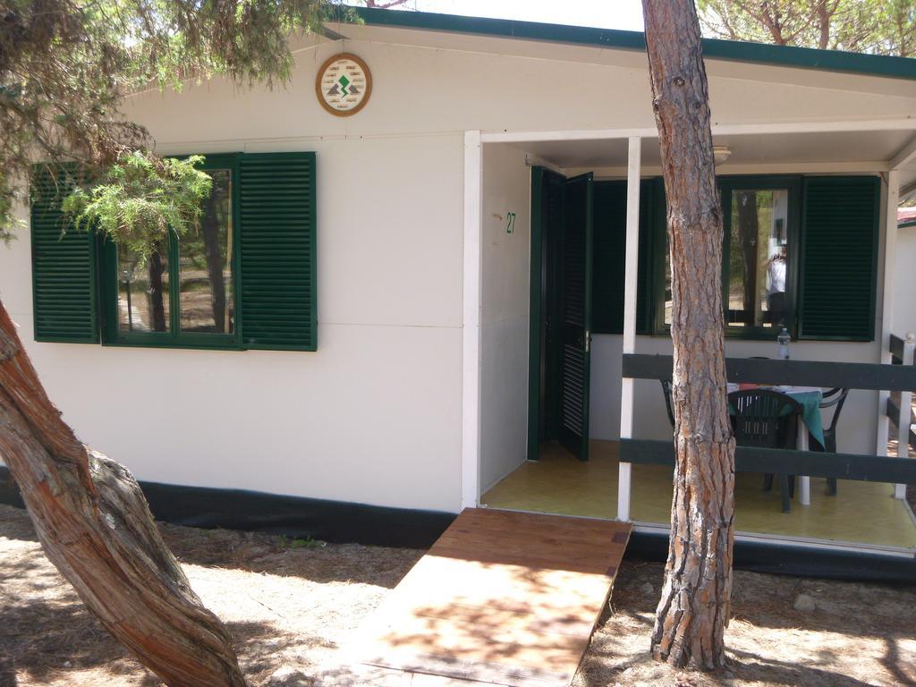 Camping Village Li Nibari Sorso Rum bild