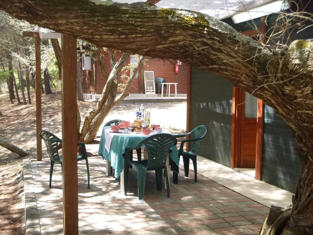 Camping Village Li Nibari Sorso Rum bild