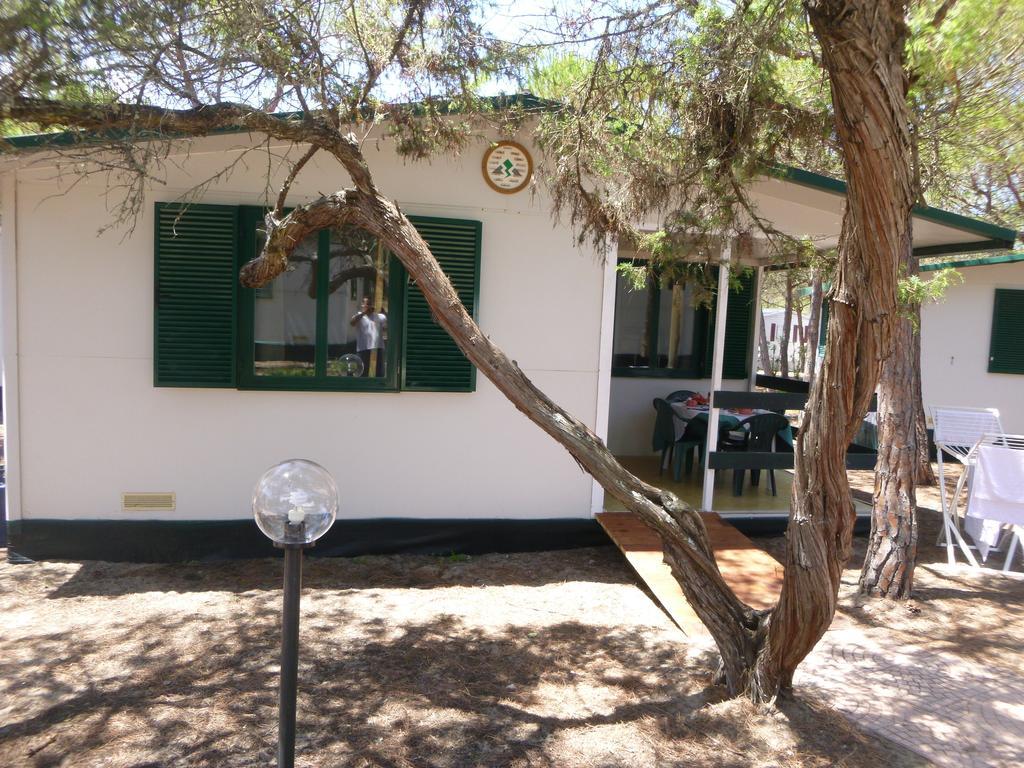 Camping Village Li Nibari Sorso Rum bild