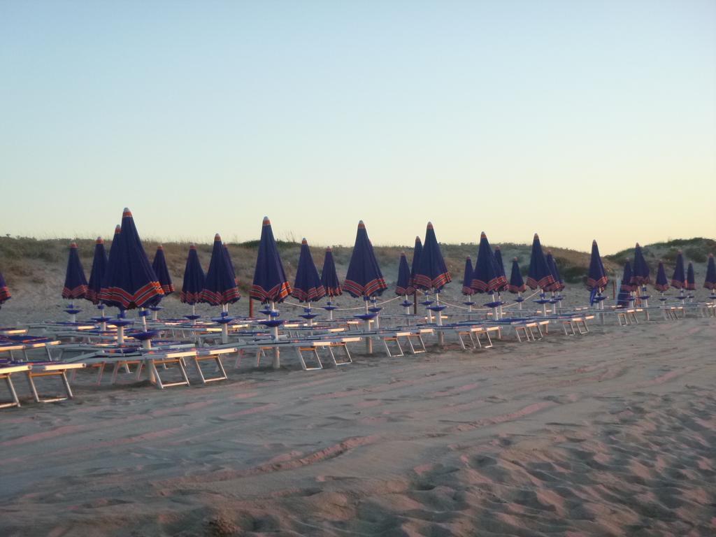 Camping Village Li Nibari Sorso Rum bild